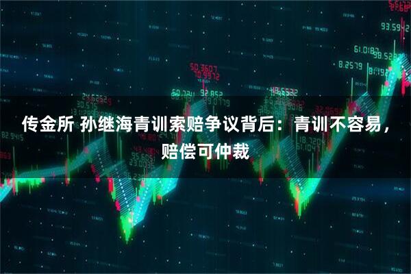 传金所 孙继海青训索赔争议背后：青训不容易，赔偿可仲裁