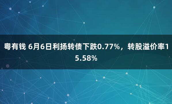 粤有钱 6月6日利扬转债下跌0.77%，转股溢价率15.58%