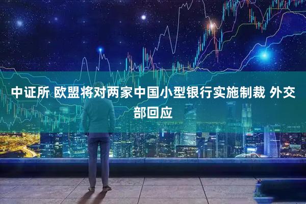 中证所 欧盟将对两家中国小型银行实施制裁 外交部回应