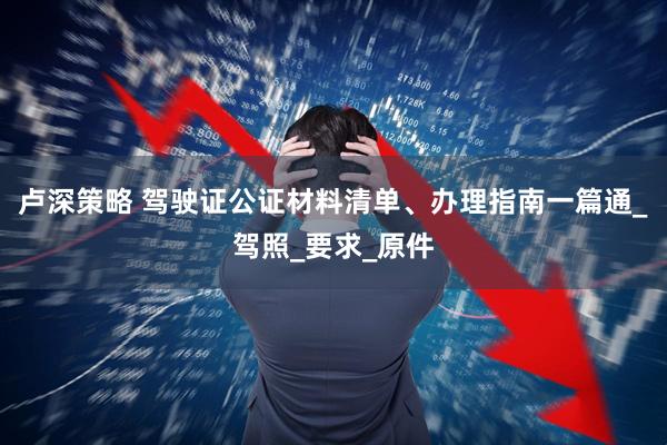 卢深策略 驾驶证公证材料清单、办理指南一篇通_驾照_要求_原件
