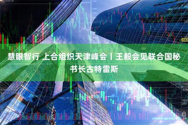 慧眼智行 上合组织天津峰会丨王毅会见联合国秘书长古特雷斯