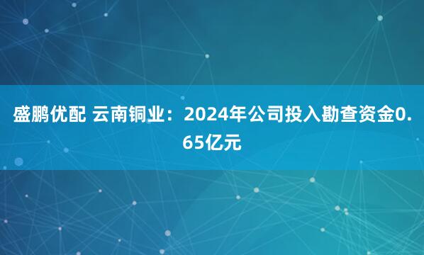 盛鹏优配 云南铜业：2024年公司投入勘查资金0.65亿元